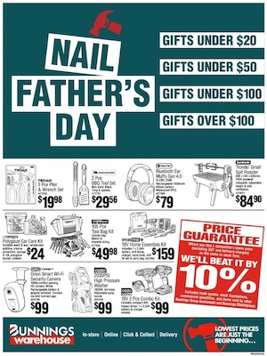 Bunnings Father's Day Gifts 2023