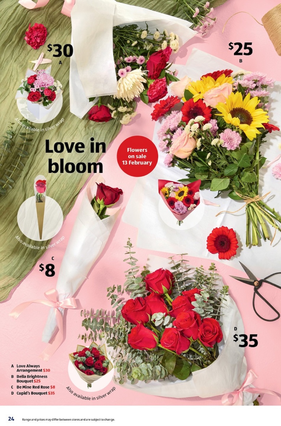 ALDI Catalogue