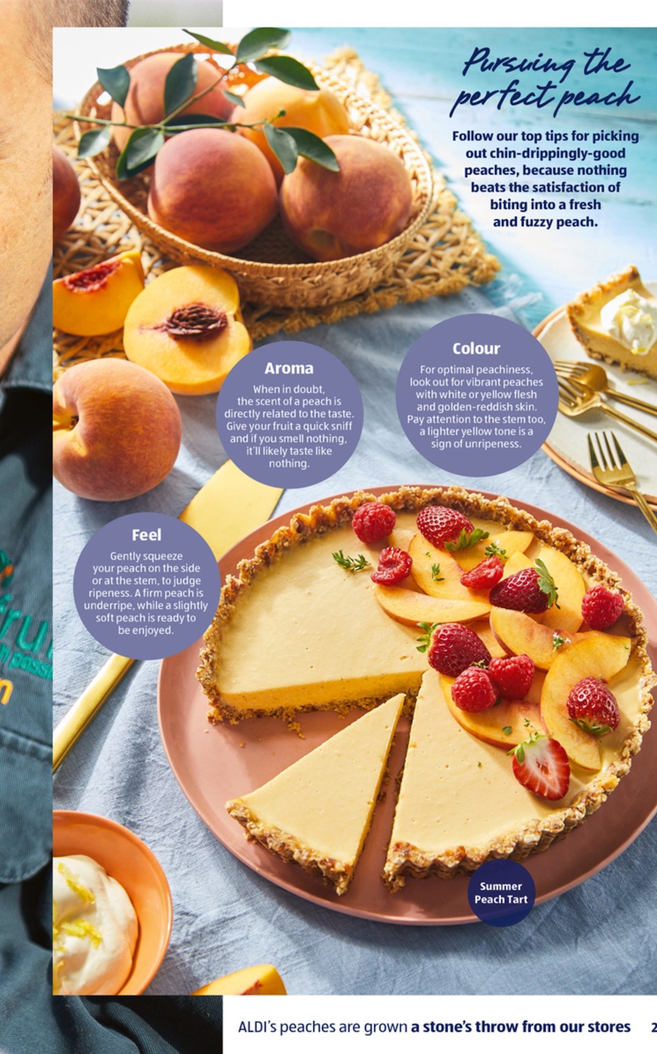 ALDI Catalogue