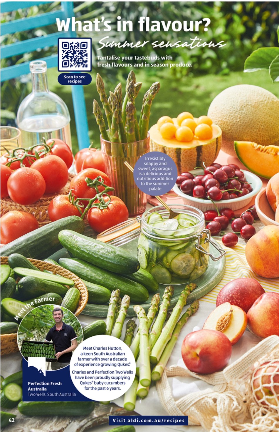 ALDI Catalogue