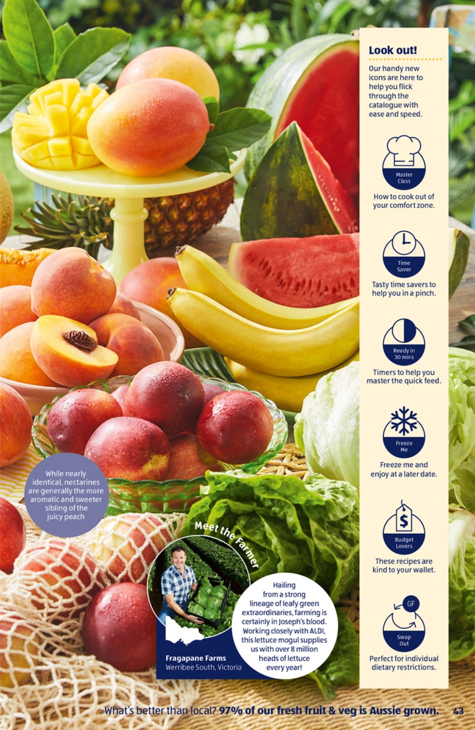 ALDI Catalogue