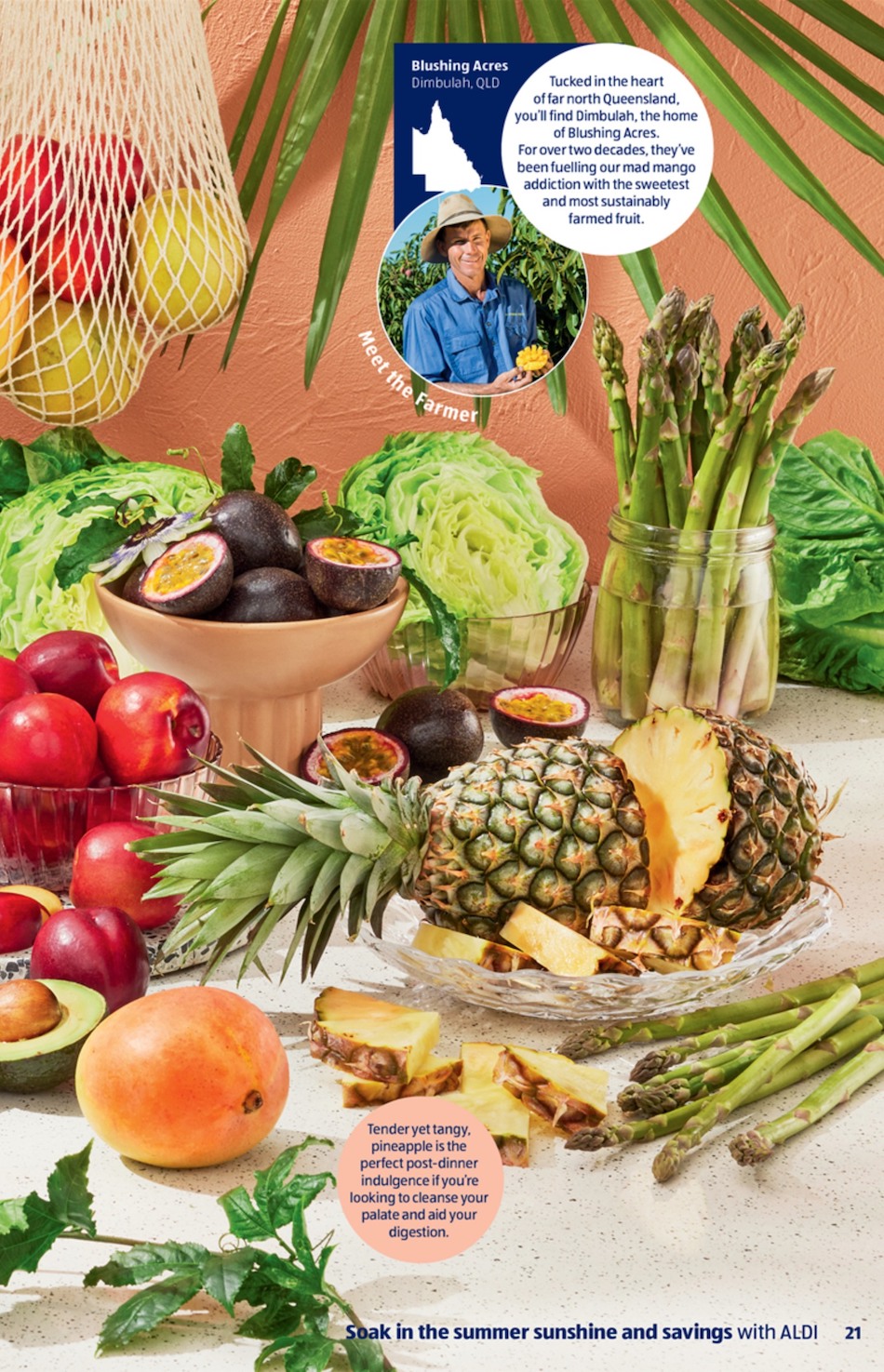 ALDI Catalogue