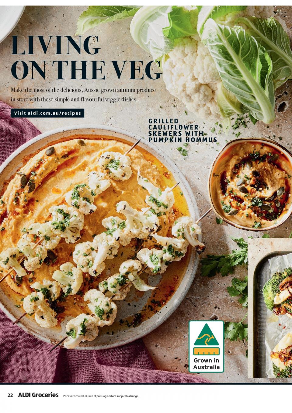 ALDI Catalogue