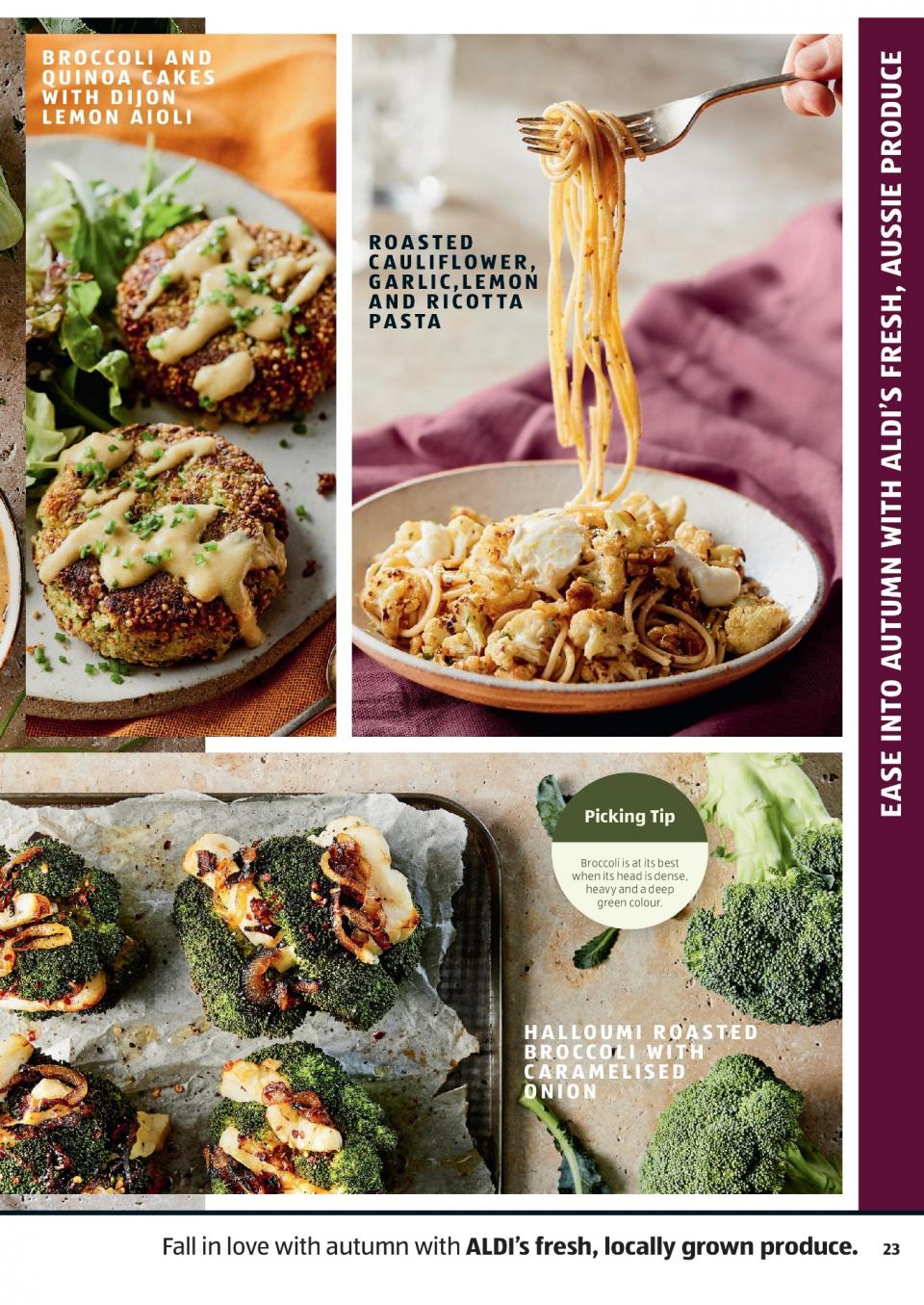 ALDI Catalogue