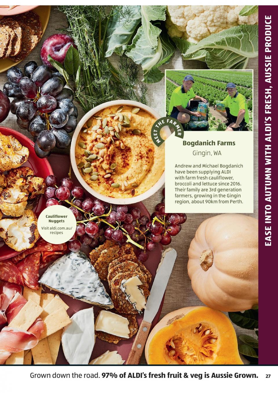 ALDI Catalogue