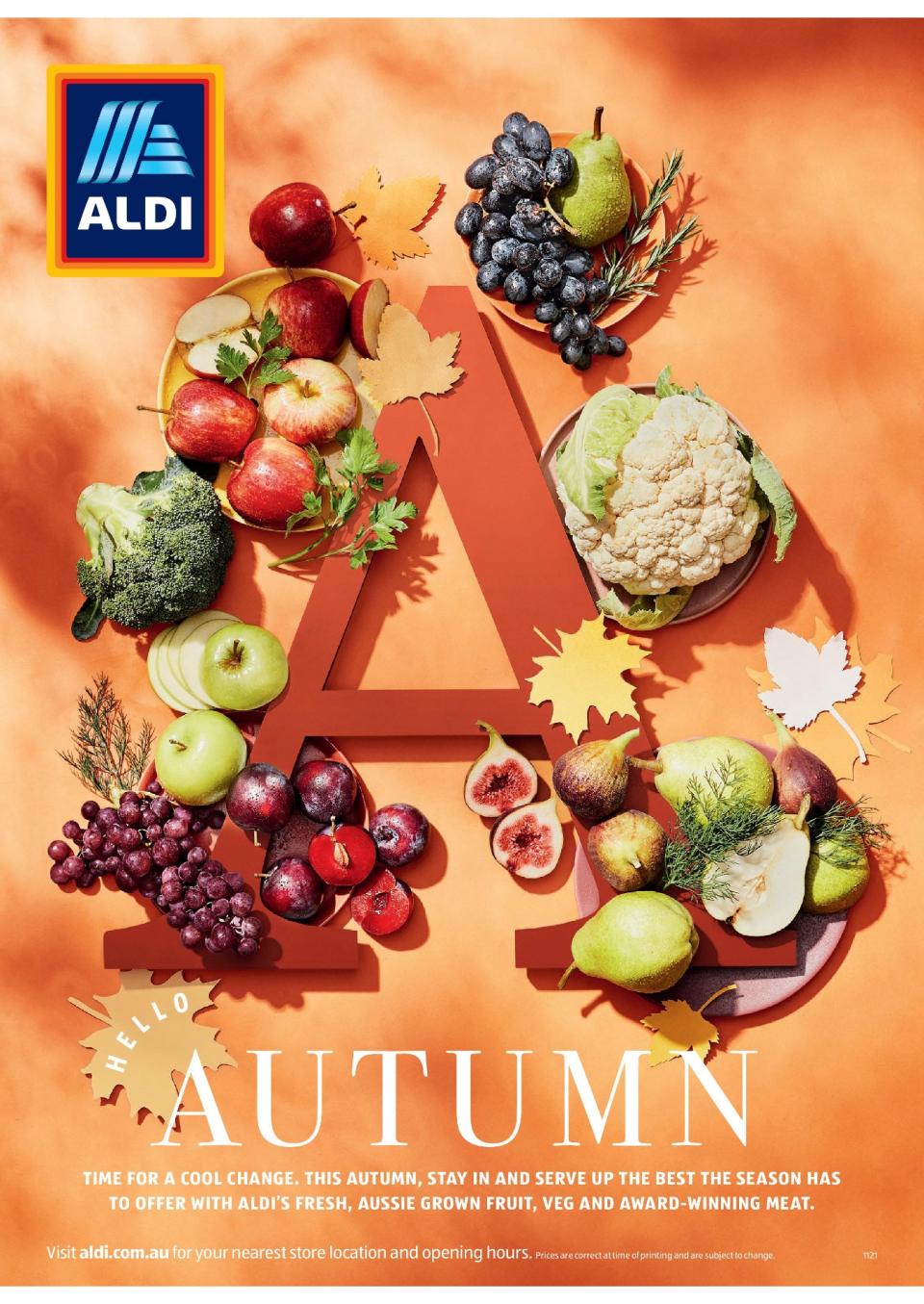 ALDI Catalogue