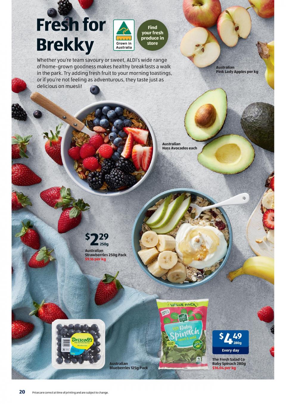 ALDI Catalogue