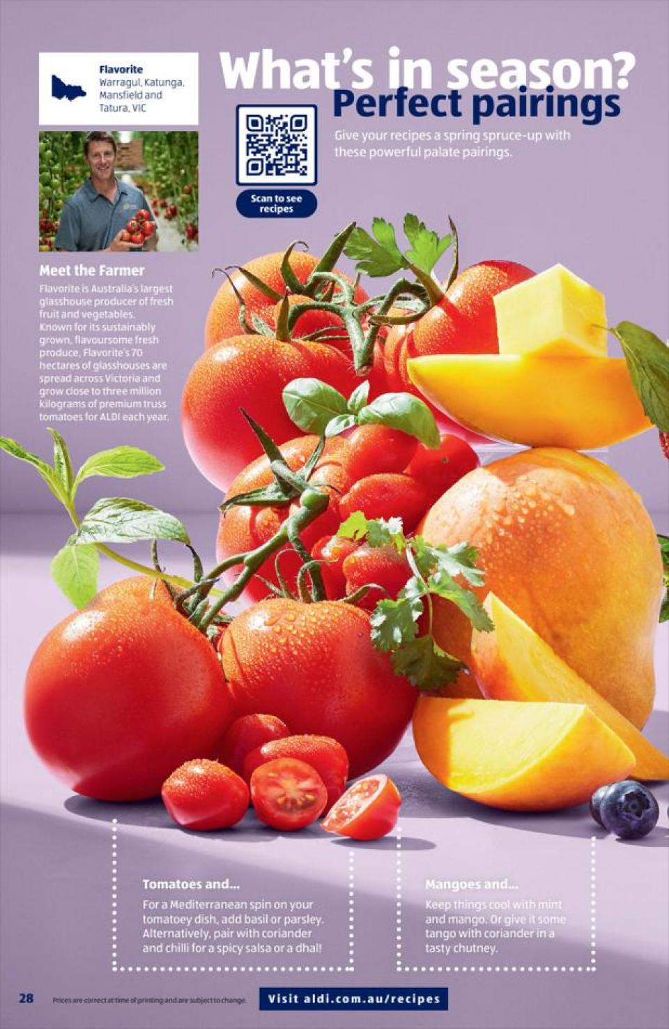 ALDI Catalogue