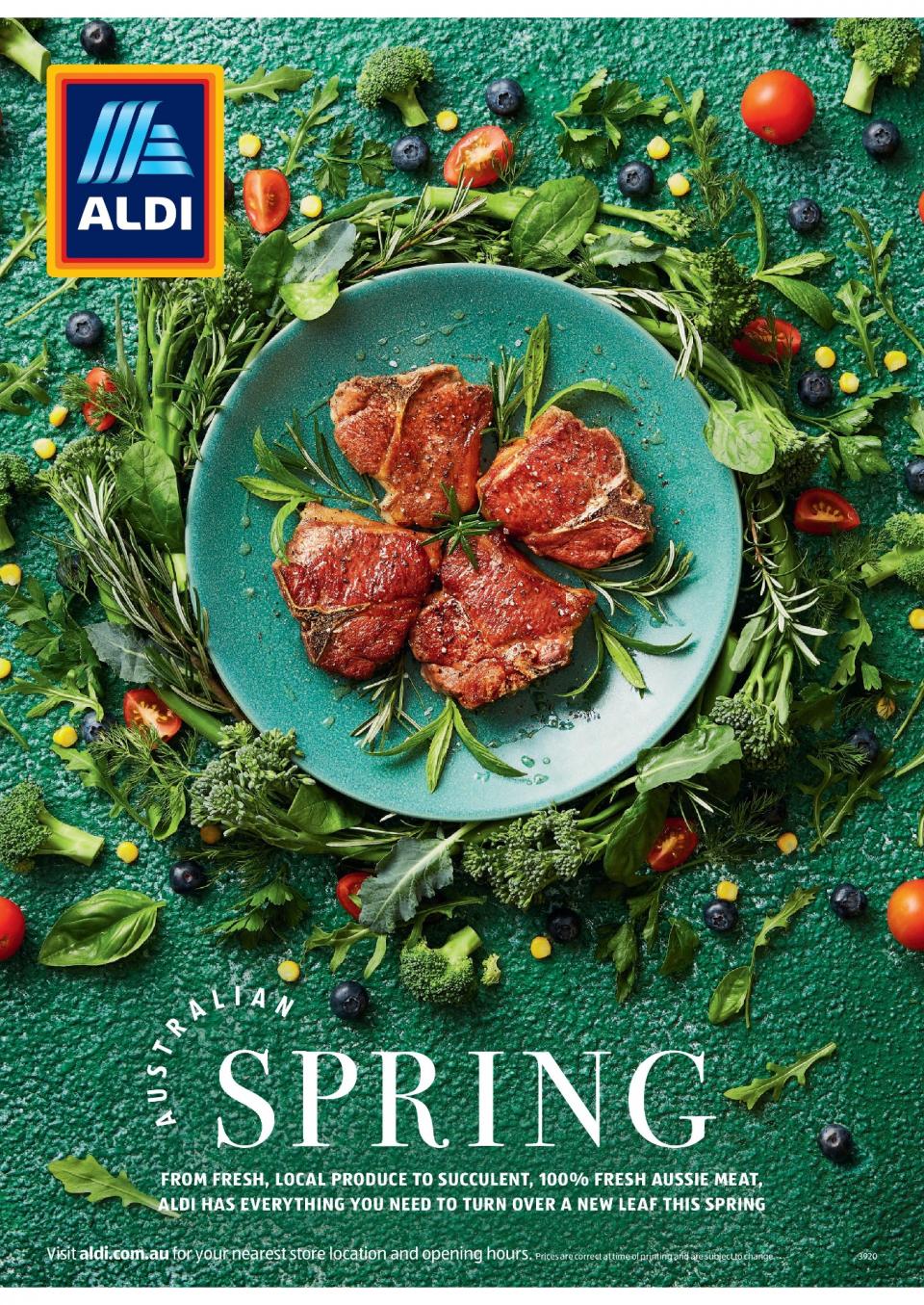 ALDI Catalogue