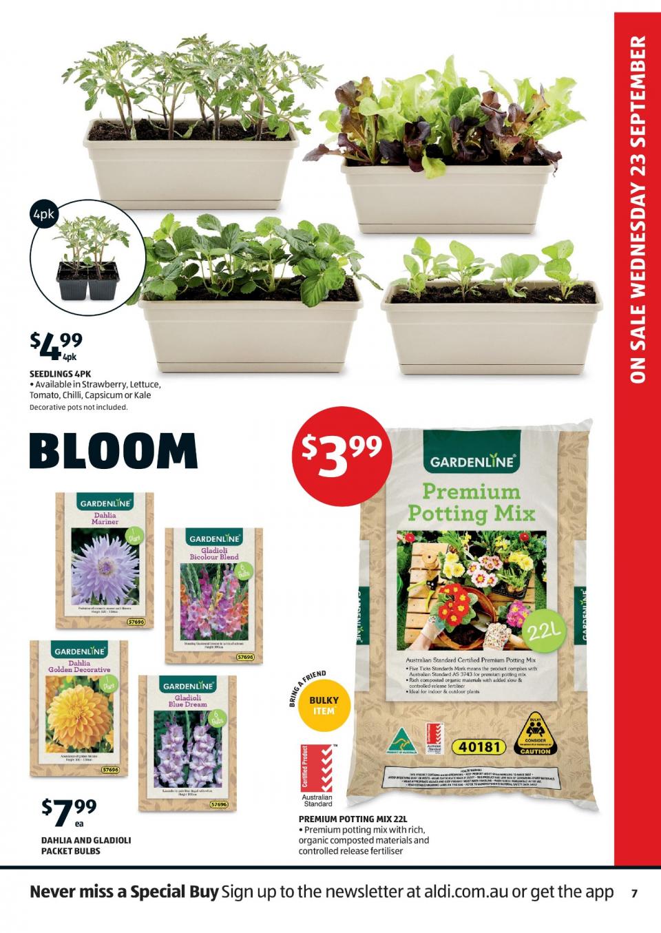 ALDI Catalogue