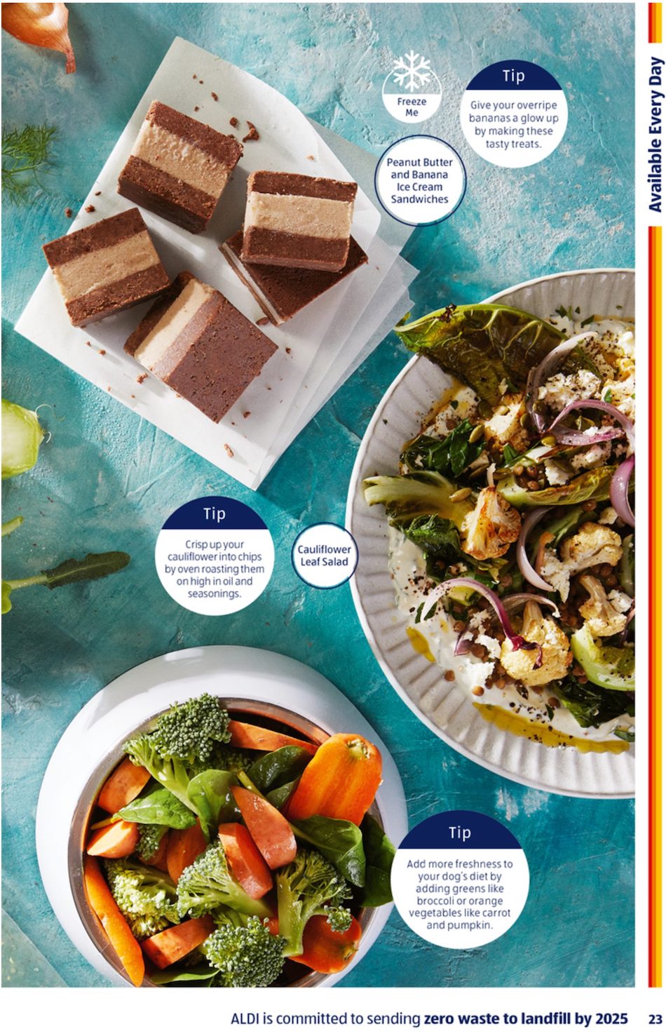 ALDI Catalogue