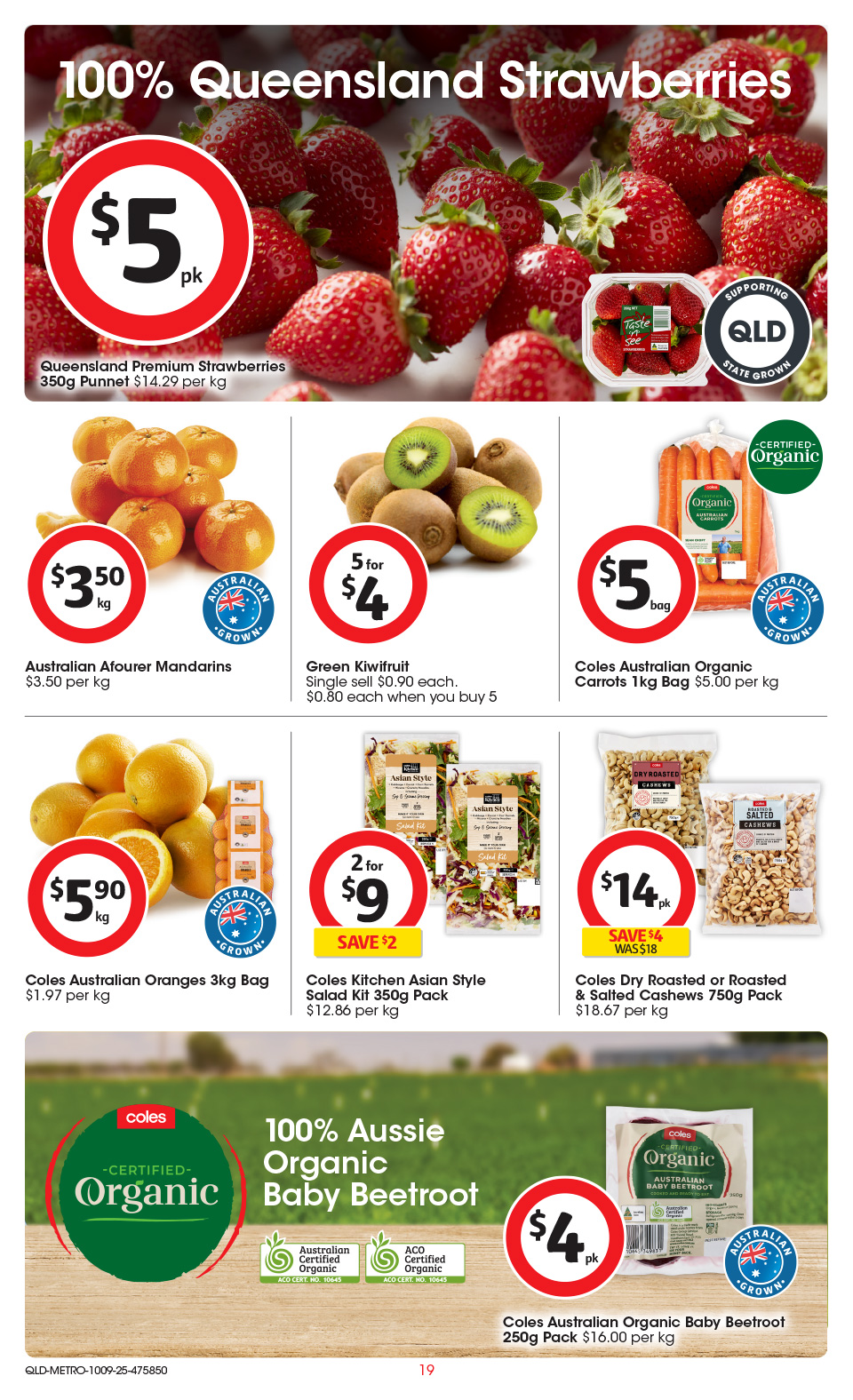 Coles Catalogue