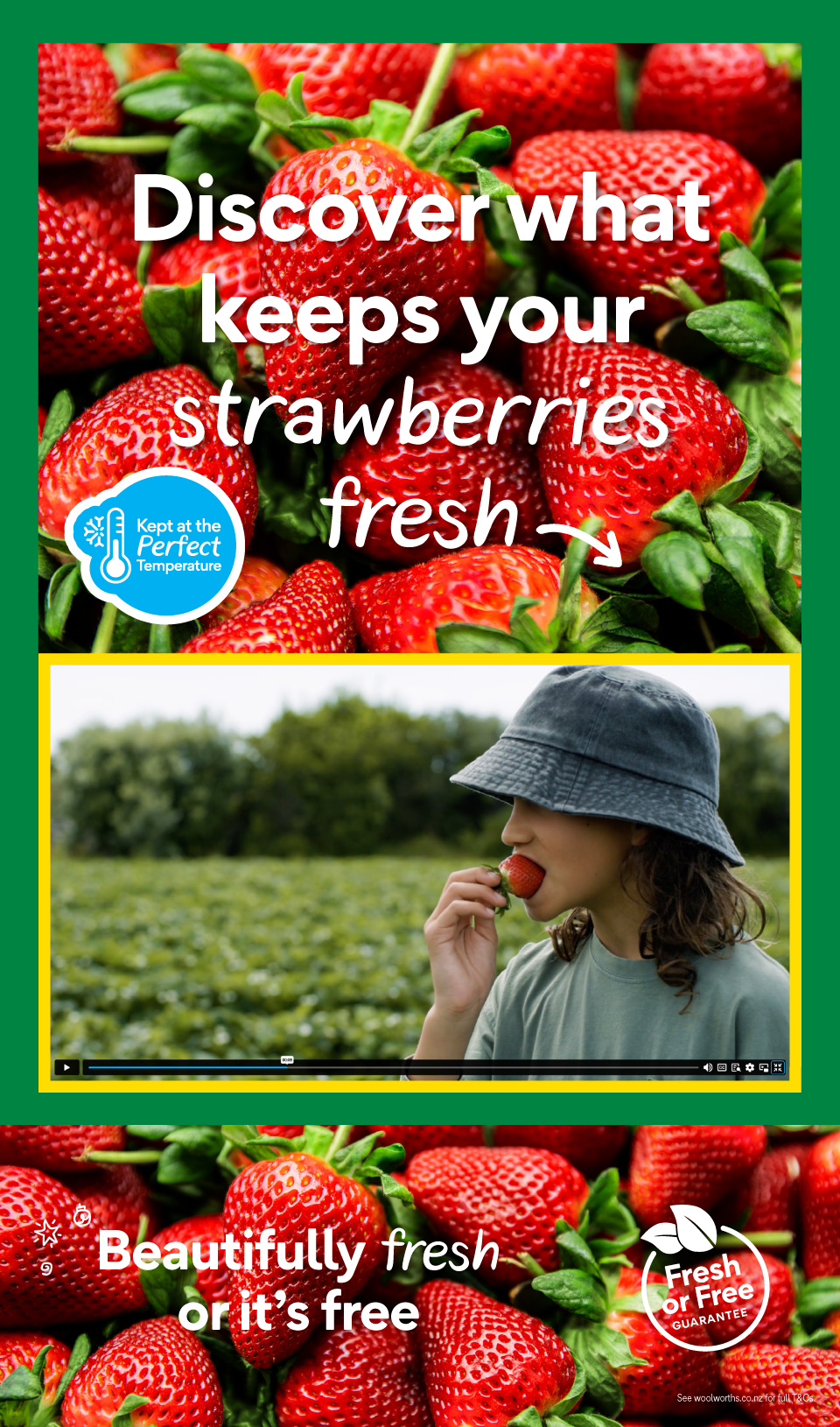 Woolworths Mailer (Countdown)