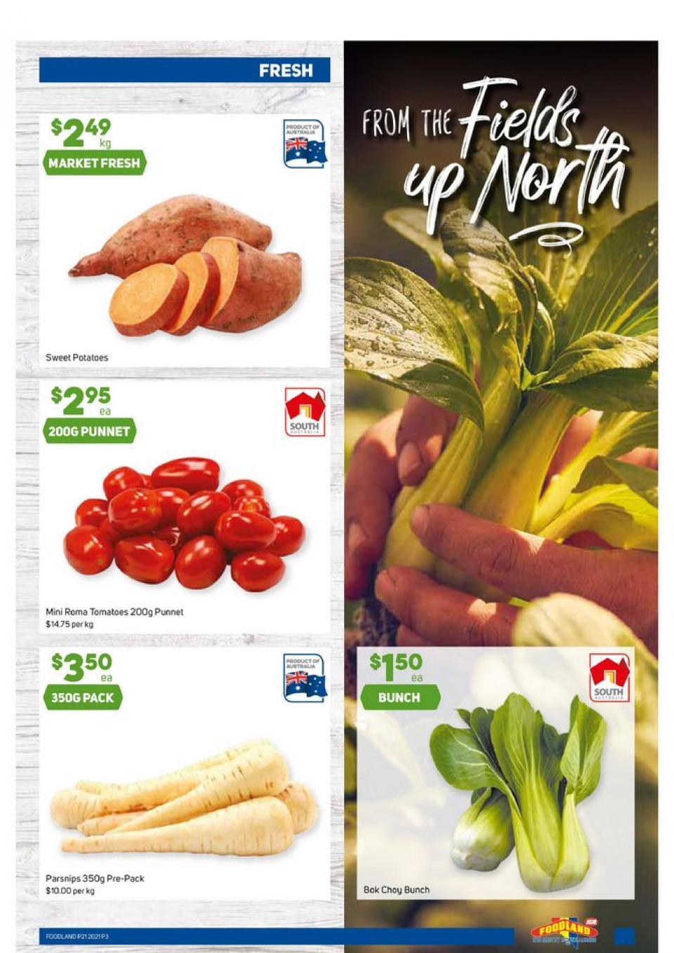Foodland Catalogue
