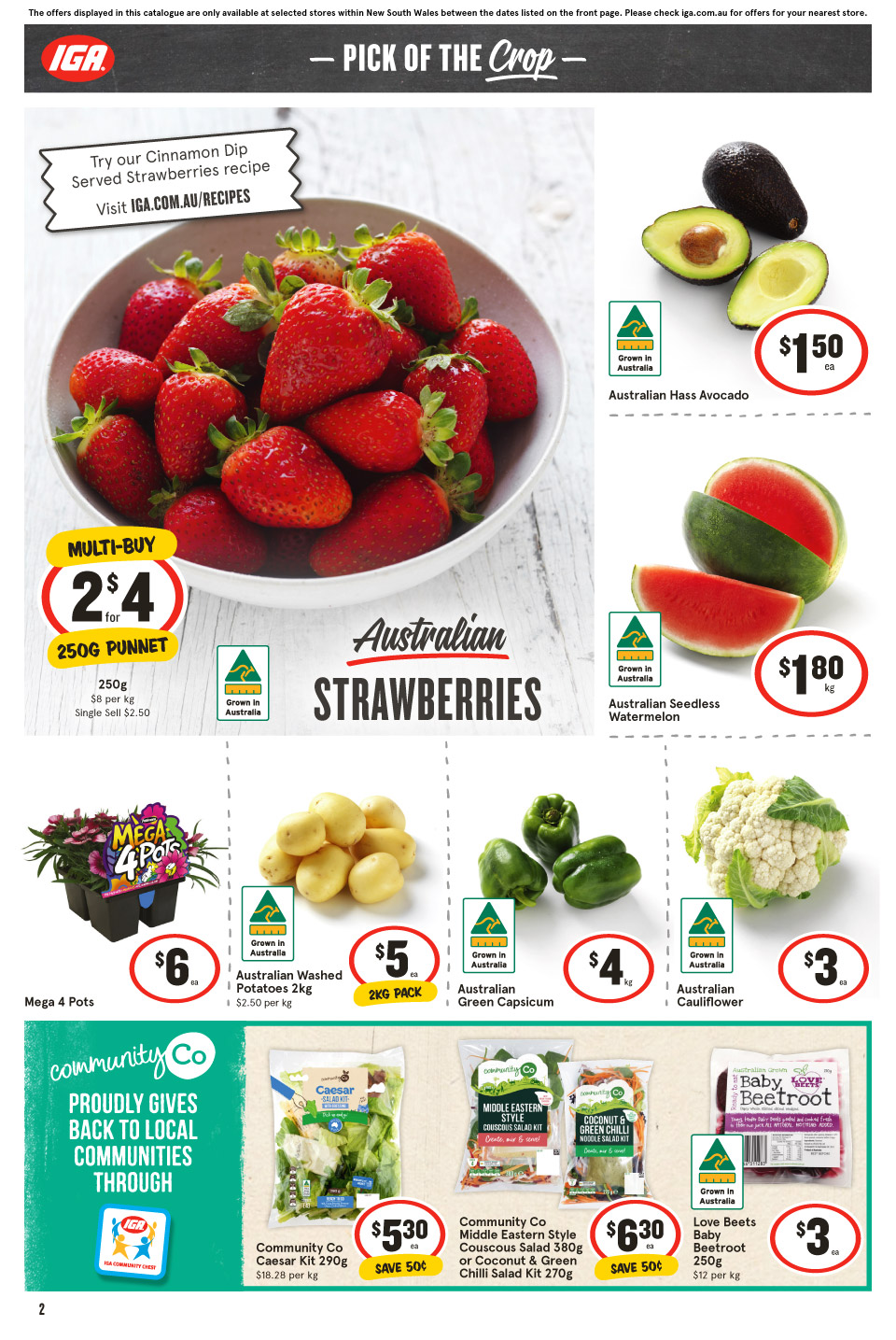 IGA Catalogue