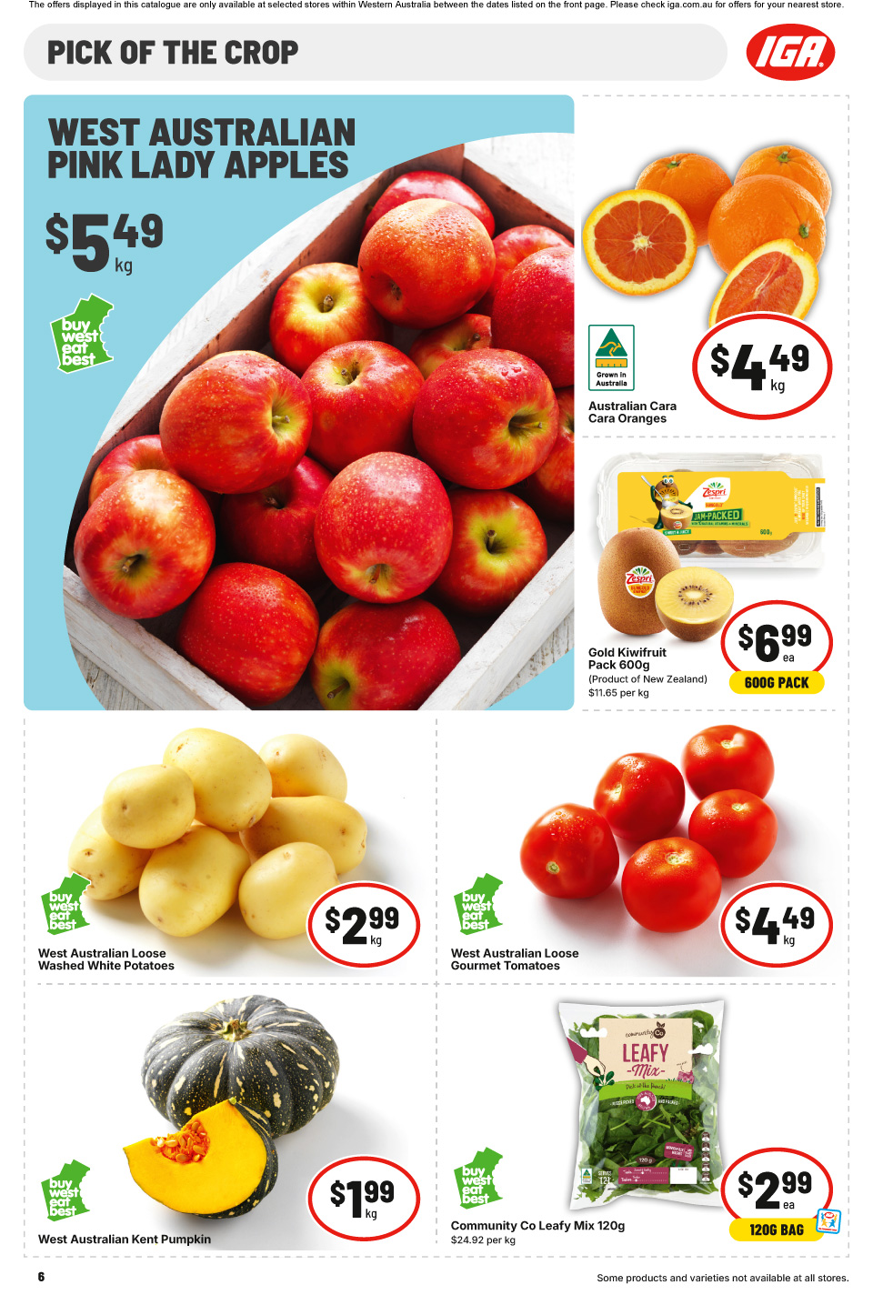 IGA Catalogue