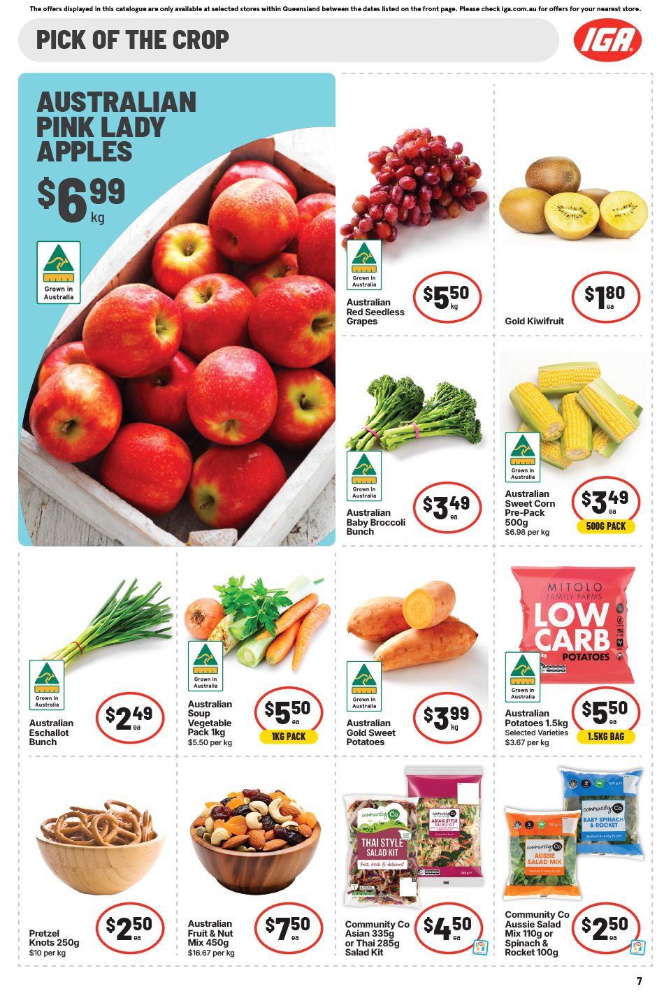 IGA Catalogue