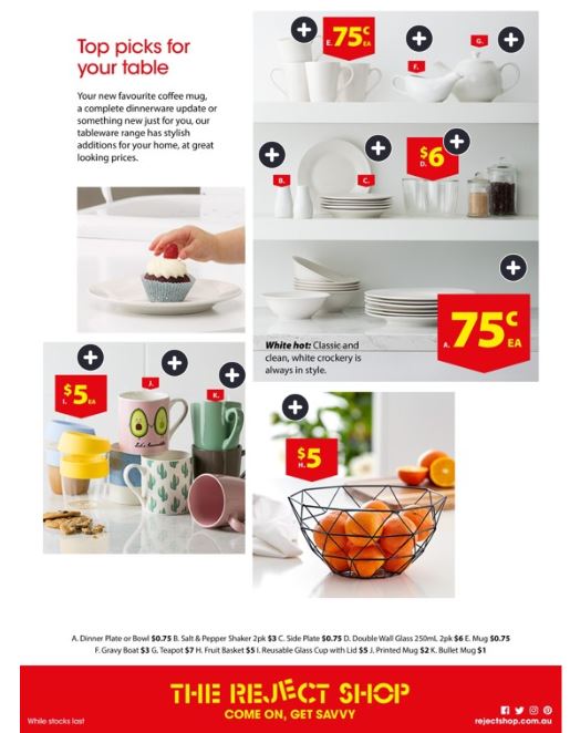 The Reject Shop Catalogue