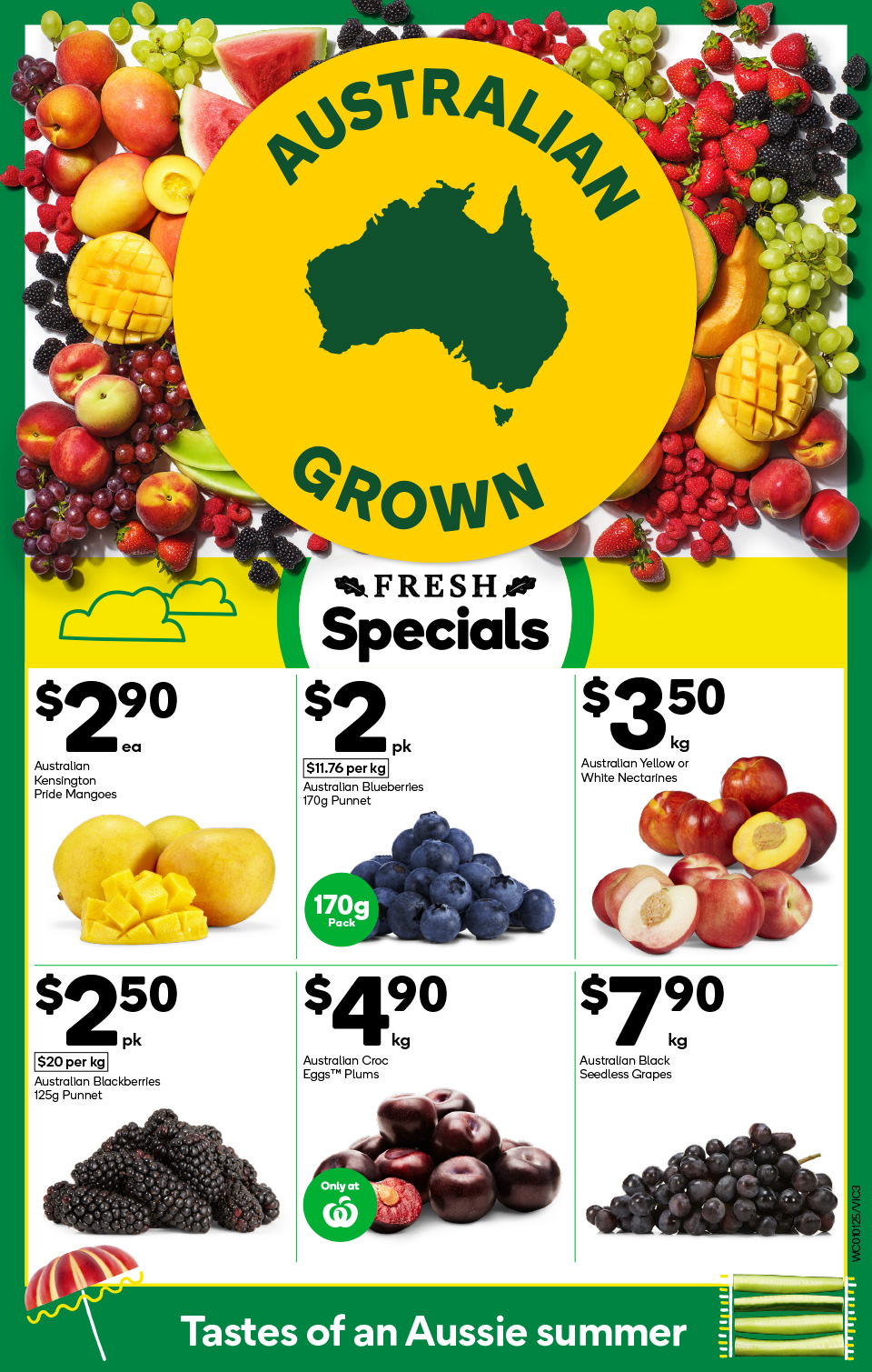 Woolworths Catalogue