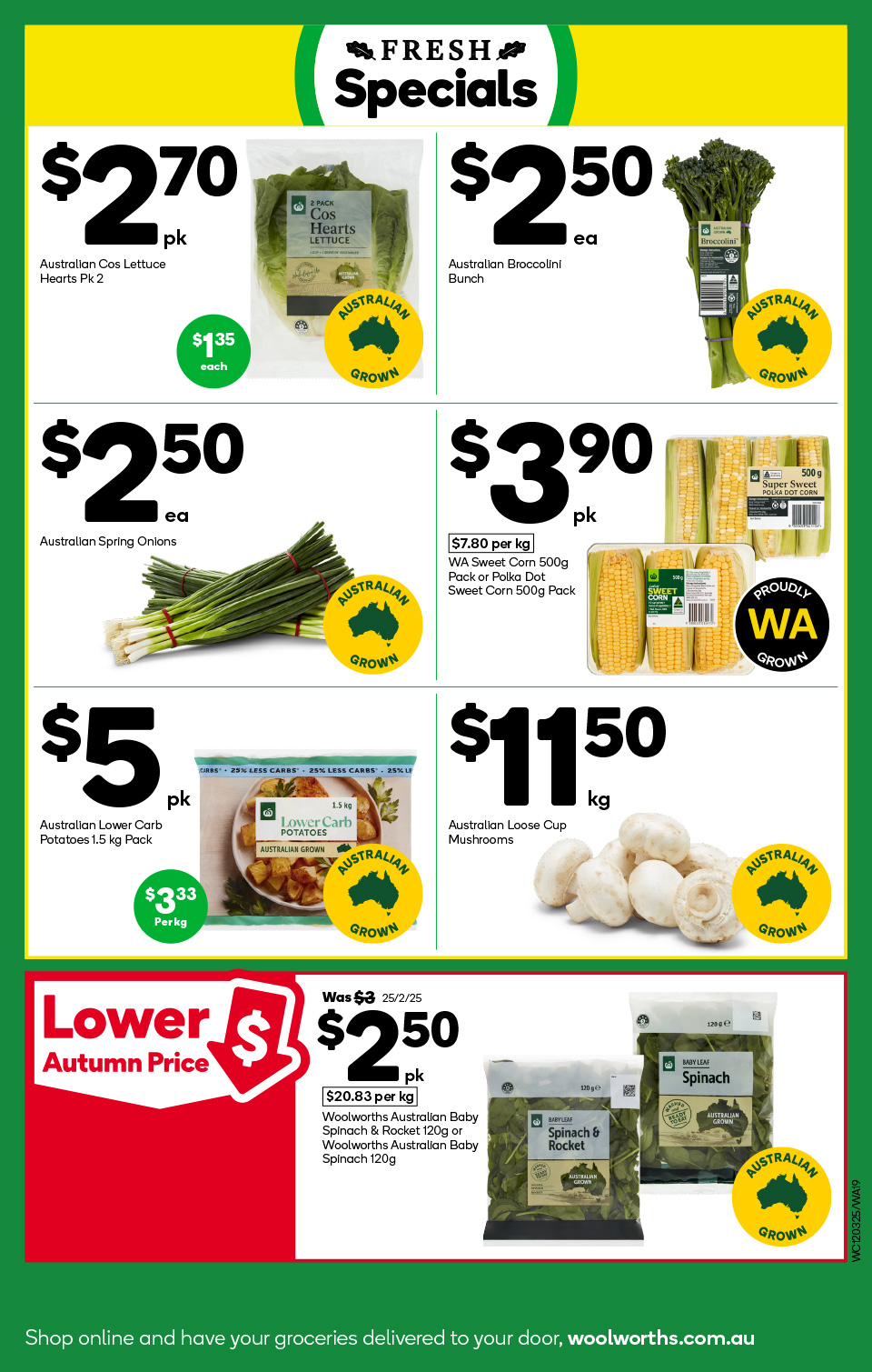 Woolworths Catalogue
