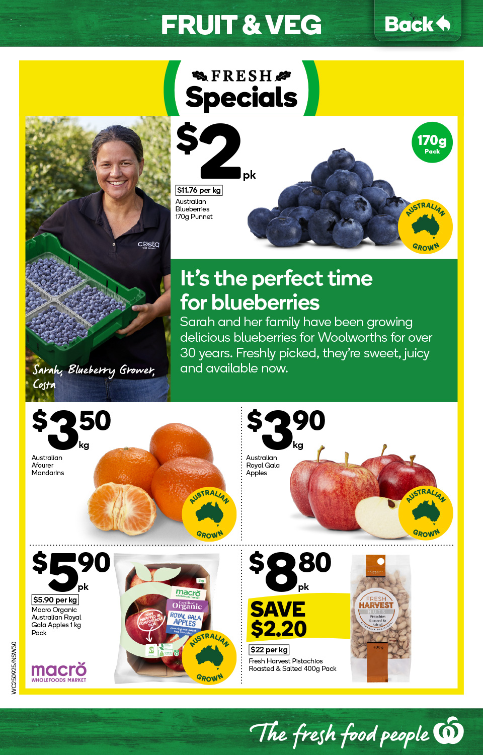 Woolworths Catalogue