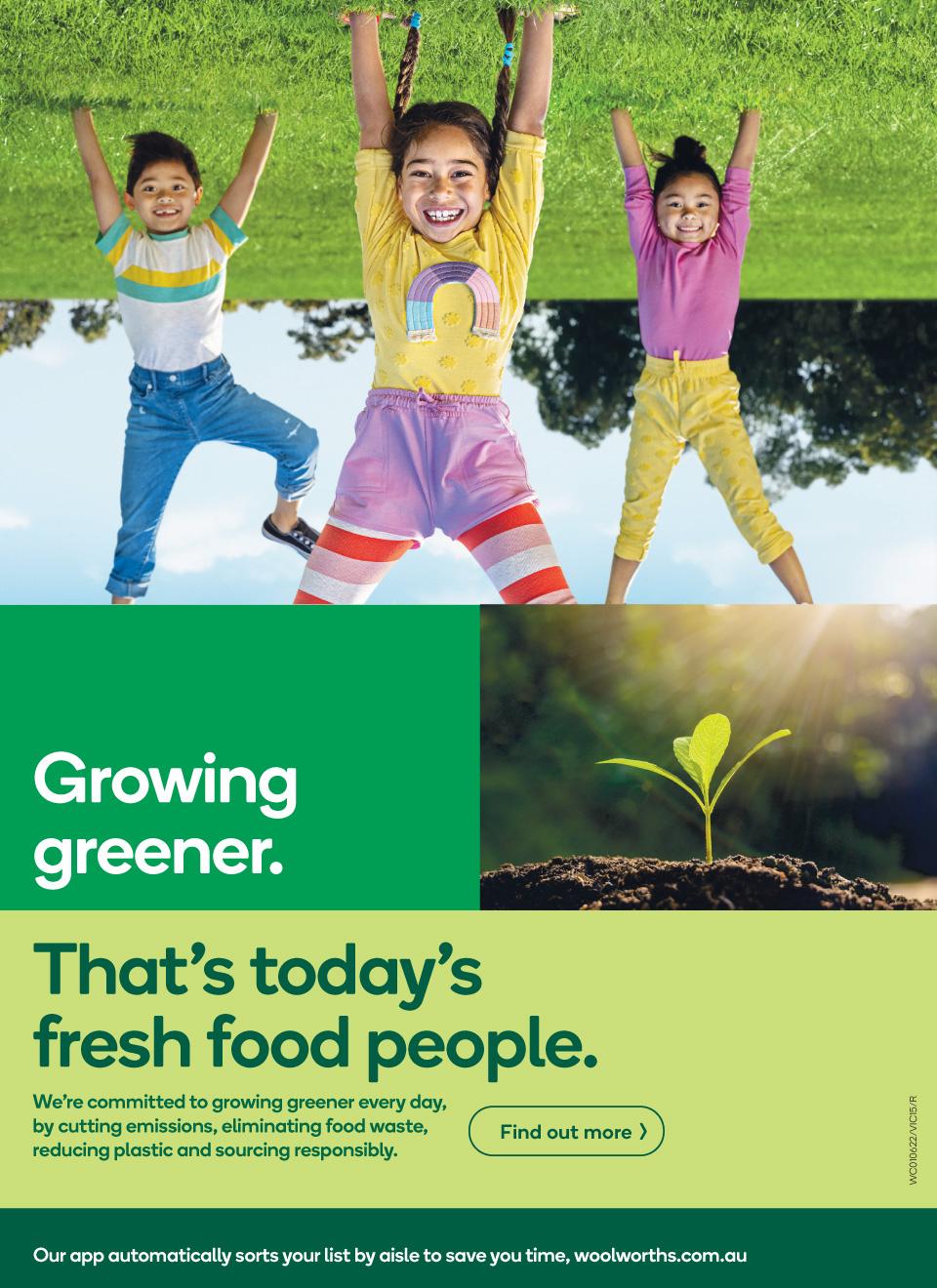 Woolworths Catalogue