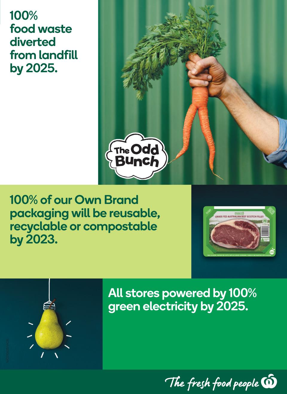 Woolworths Catalogue