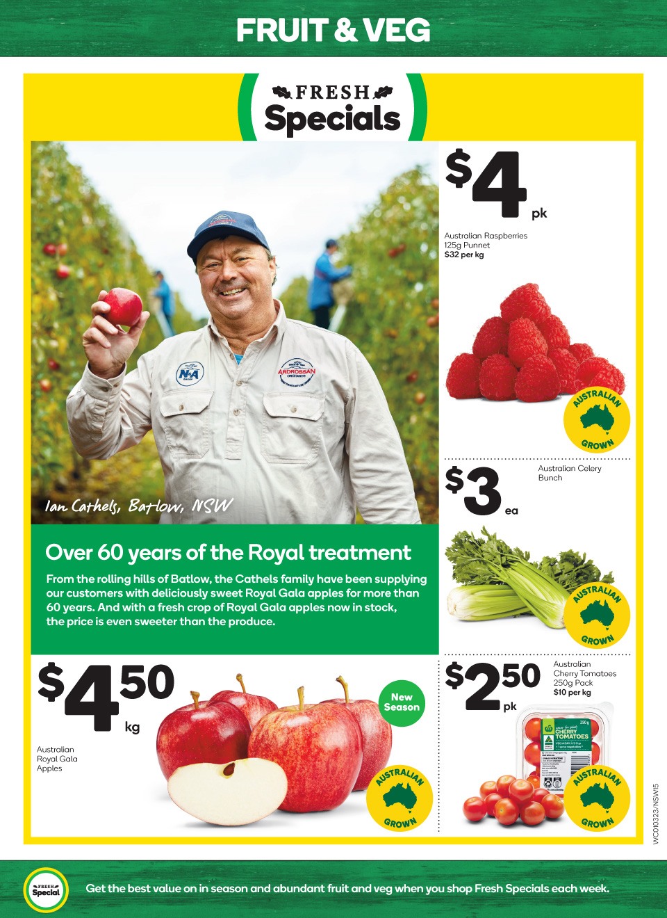 Woolworths Catalogue