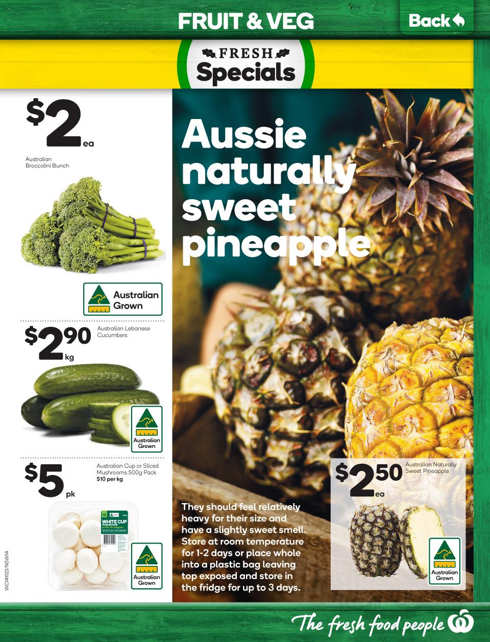 Woolworths Catalogue