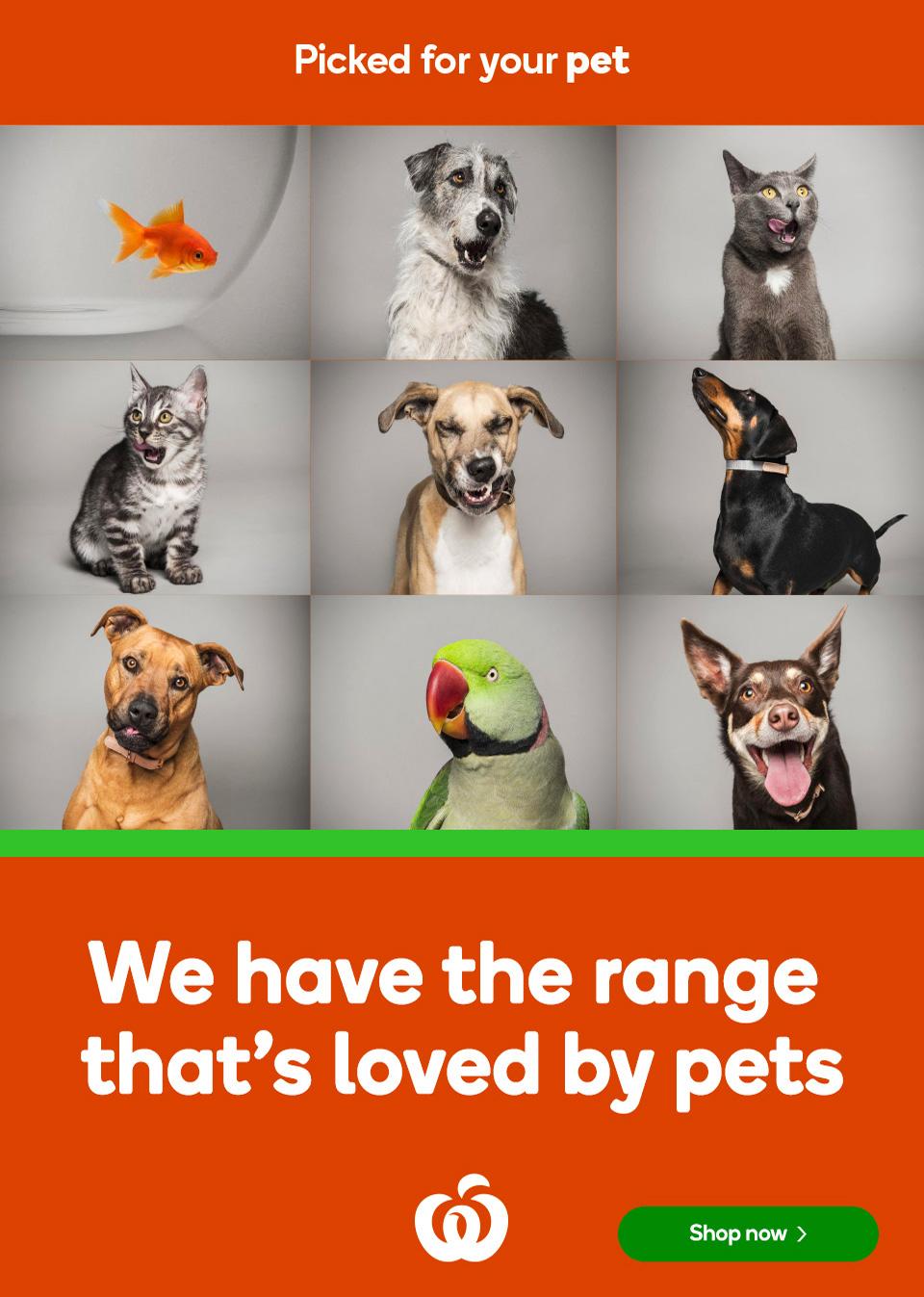 Woolworths Catalogue