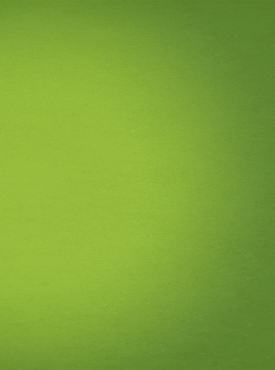 Woolworths Catalogue