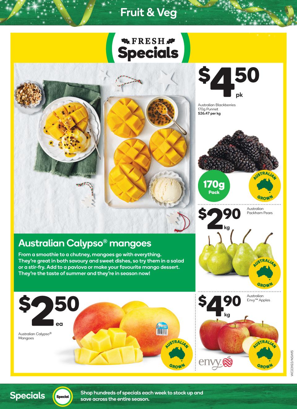Woolworths Catalogue