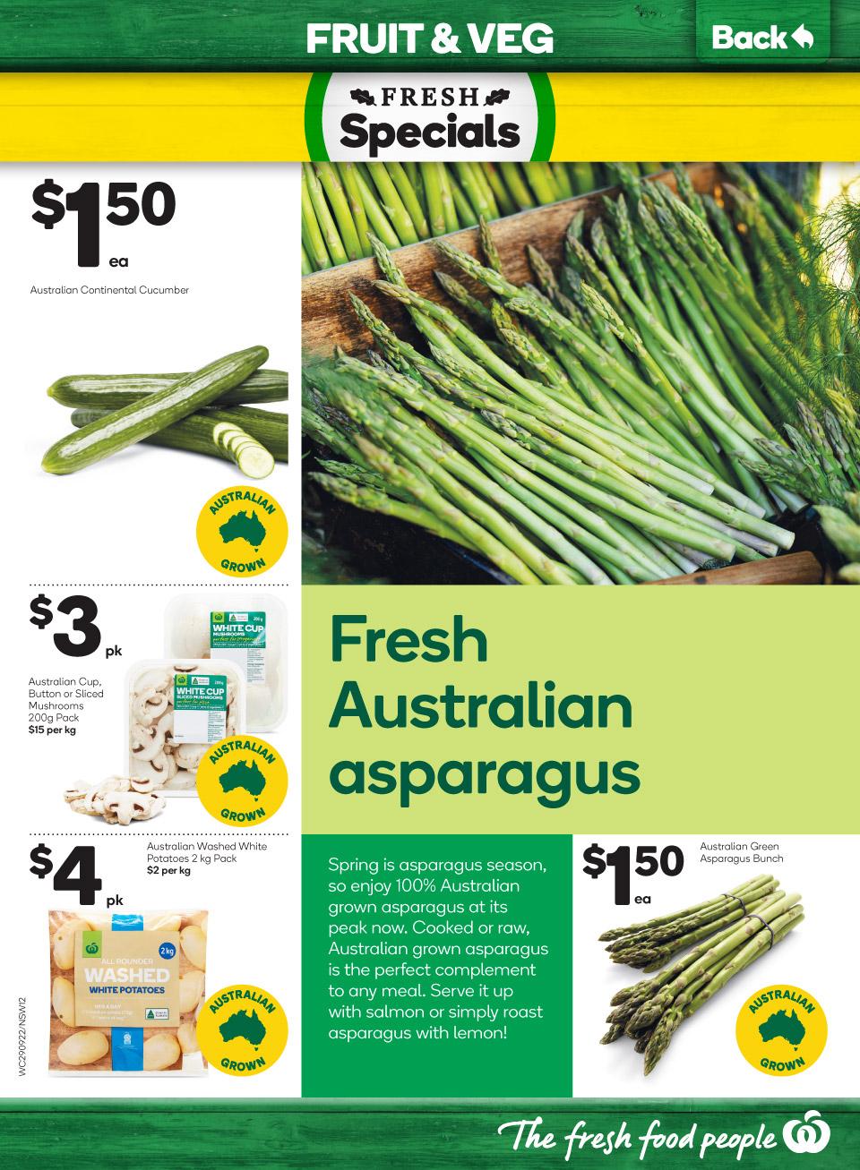 Woolworths Catalogue