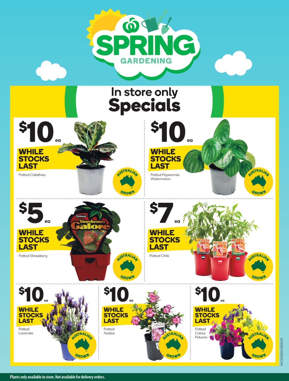 Woolworths Catalogue