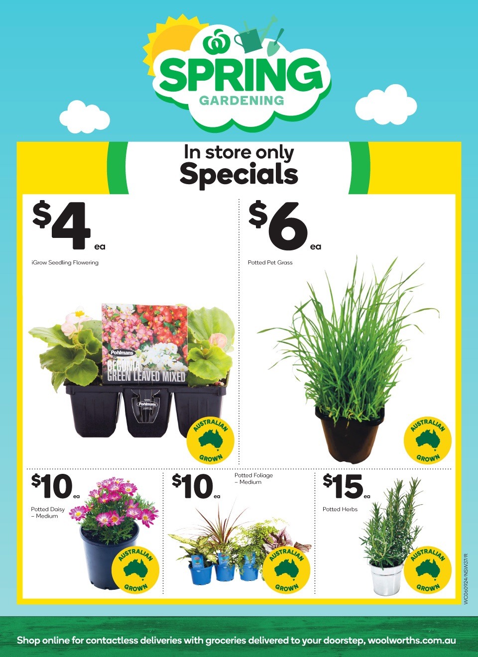 Woolworths Catalogue